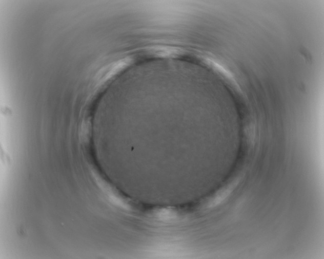 X0000091180325200708091226