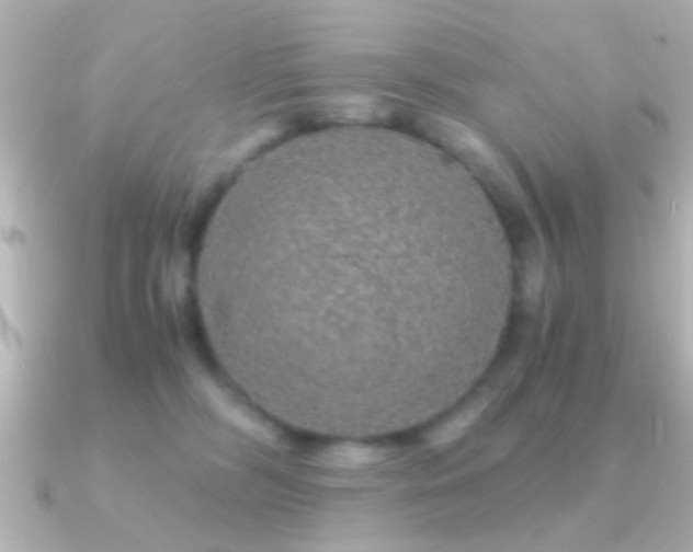 X0000091180326200708091226
