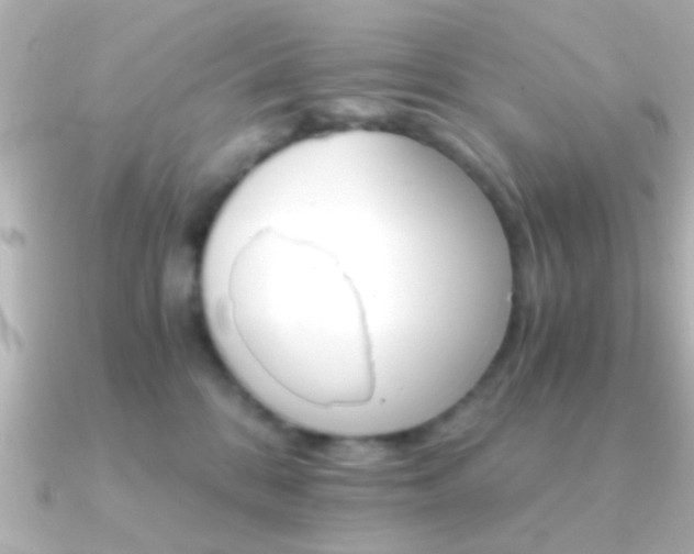 X0000091180328200708091226