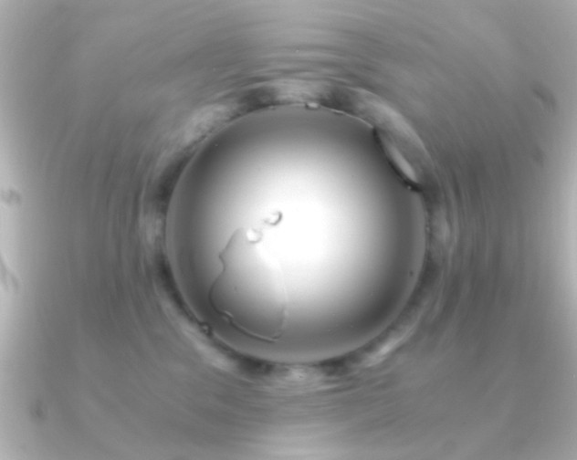 X0000091180329200708091226