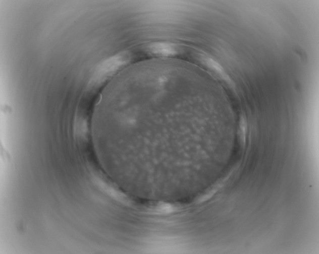 X0000091180330200708091226