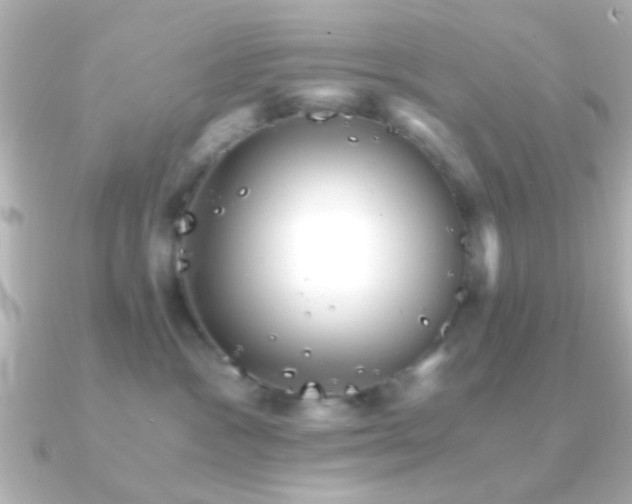 X0000091180333200708091226