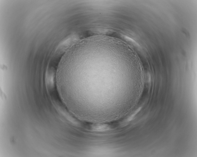 X0000091180334200708091226