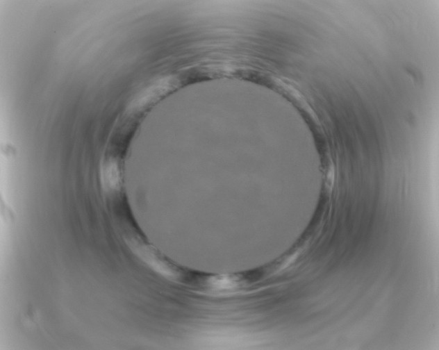 X0000091180335200708091226