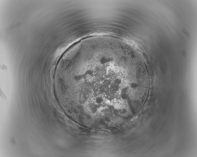 X0000091180337200708091226