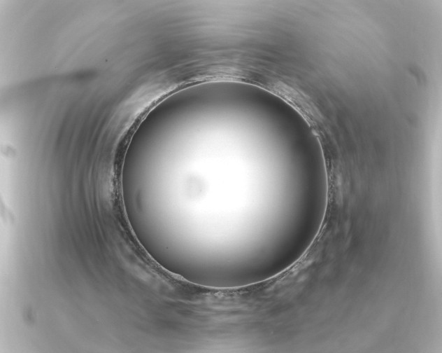 X0000091180338200708091226