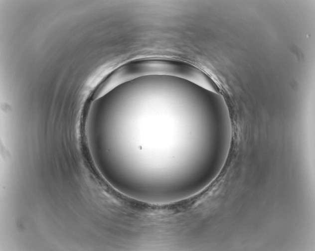 X0000091180340200708091226