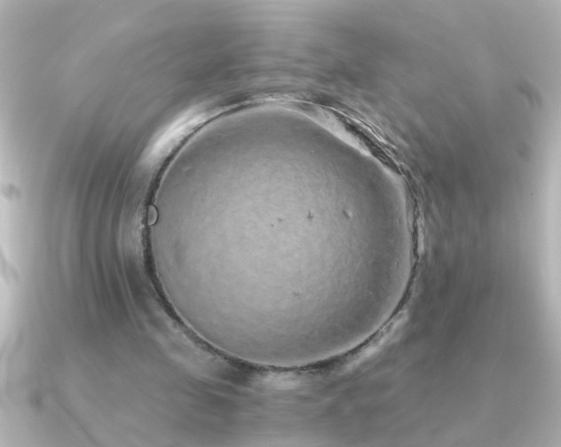 X0000091180341200708091226