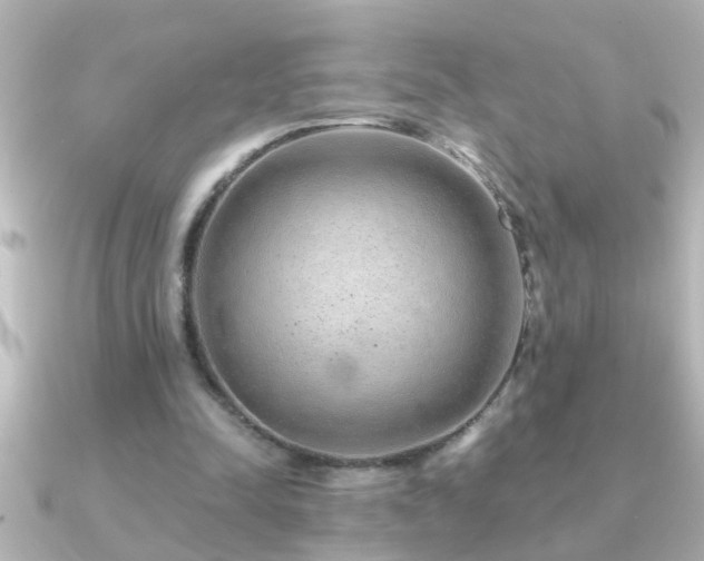 X0000091180342200708091226