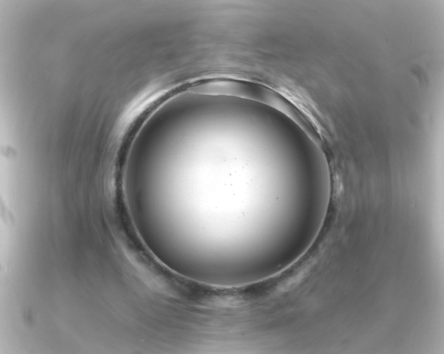 X0000091180344200708091226