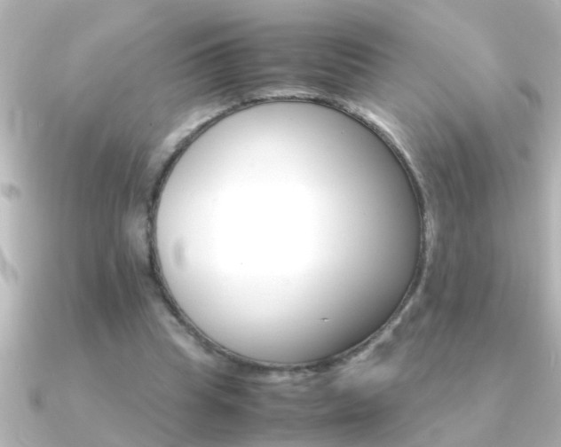 X0000091180345200708091226