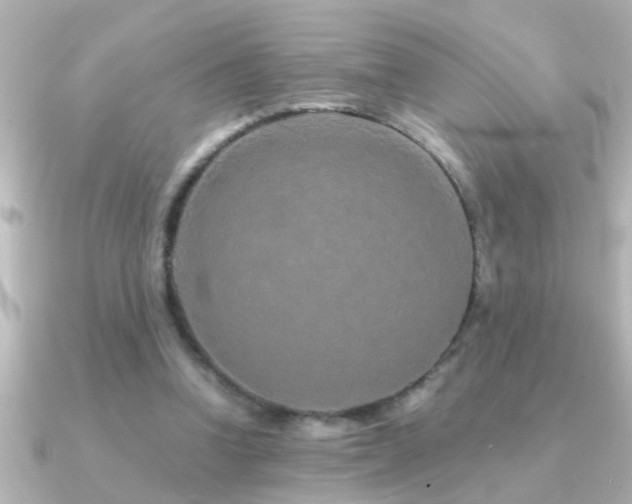 X0000091180346200708091226