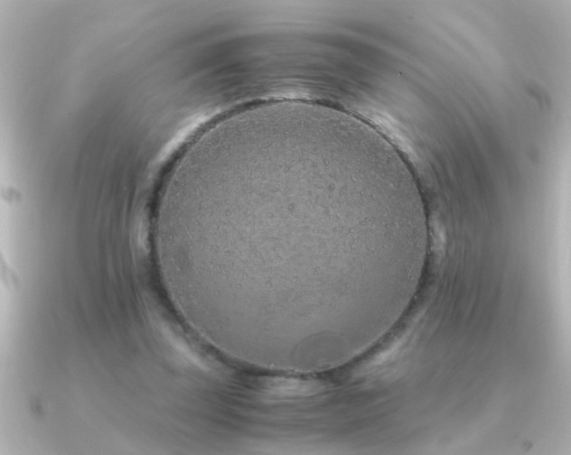 X0000091180347200708091226