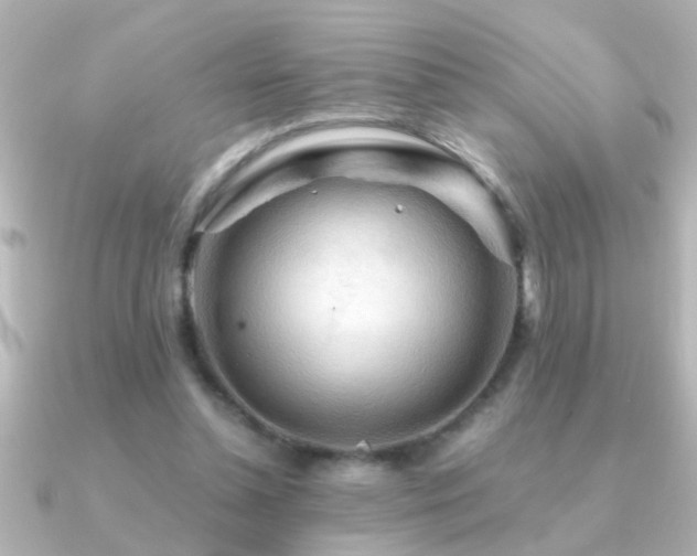 X0000091180348200708091226