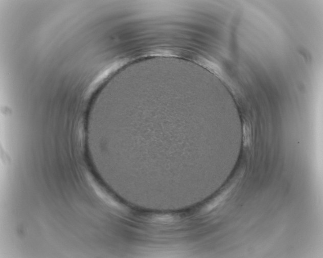 X0000091180349200708091226