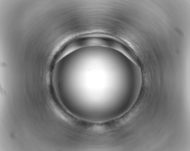 X0000091180350200708091226