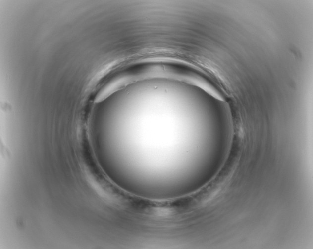 X0000091180352200708091226
