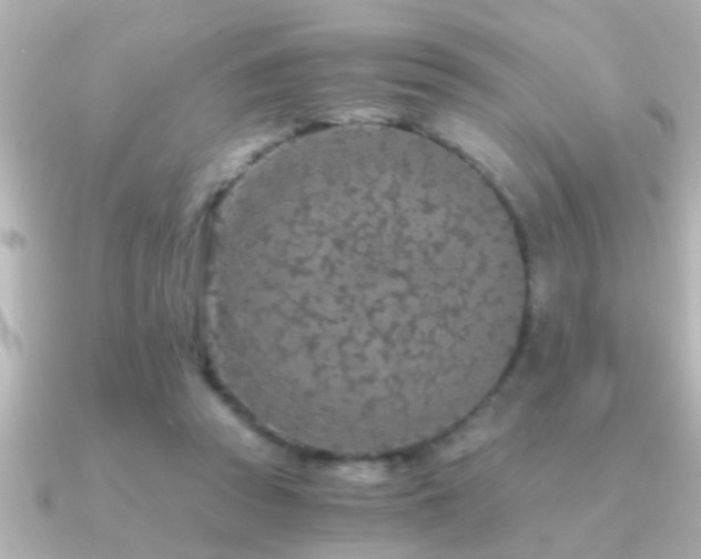 X0000091180353200708091226
