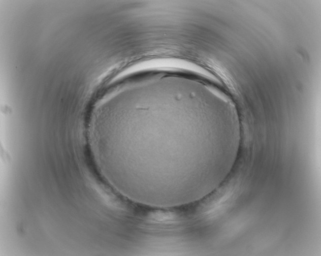 X0000091180354200708091226