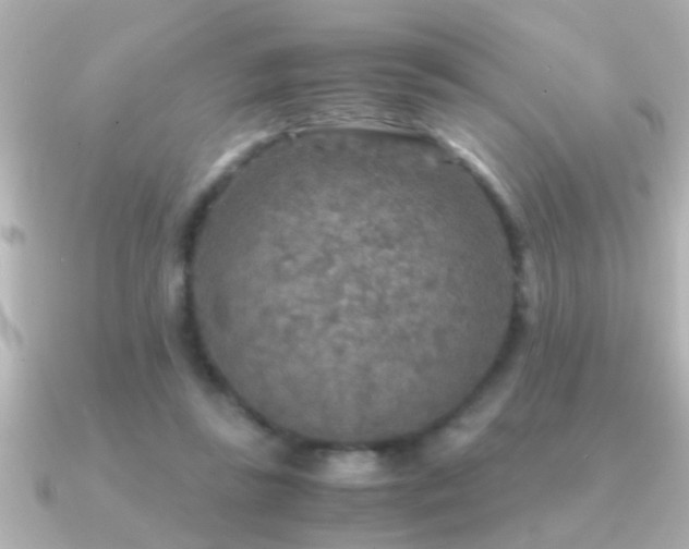 X0000091180355200708091226