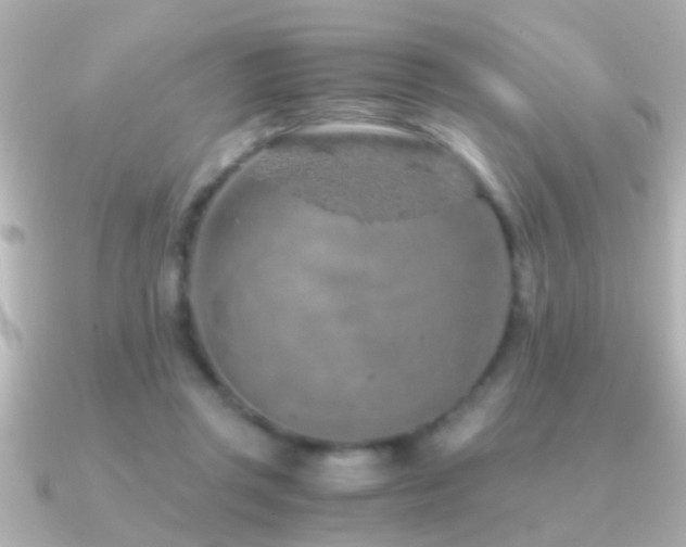 X0000091180357200708091226