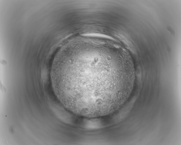 X0000091180359200708091226