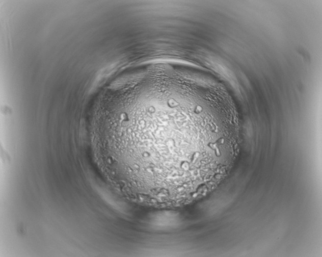 X0000091180361200708091226