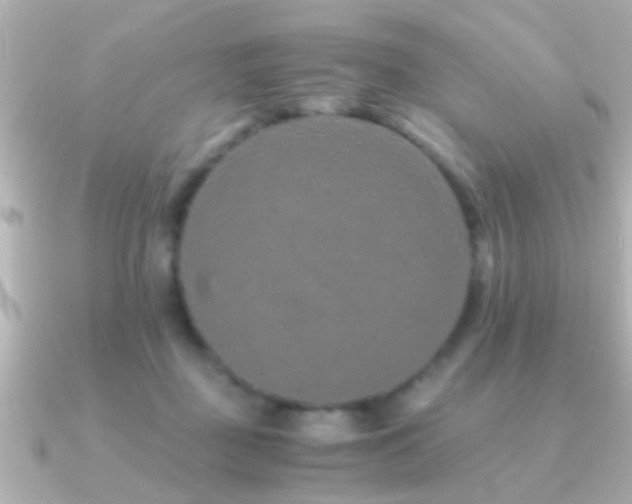 X0000091180363200708091226