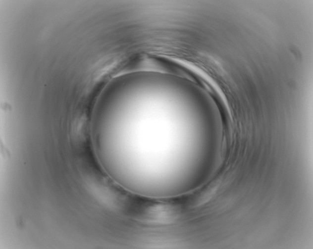 X0000091180364200708091226