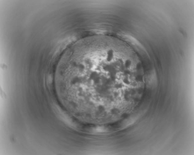 X0000091180365200708091226