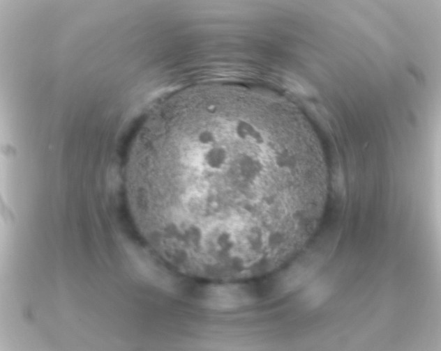 X0000091180367200708091226