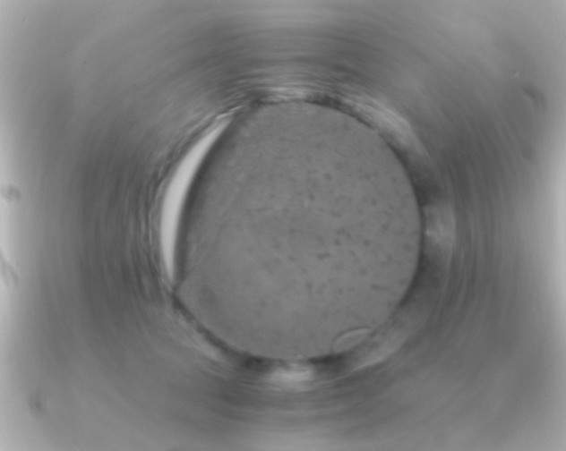 X0000091180369200708091226