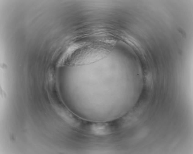 X0000091180373200708091226