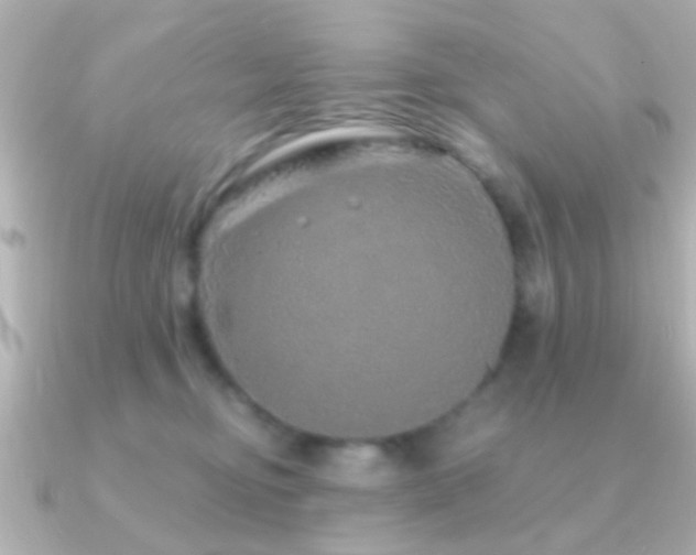 X0000091180374200708091226