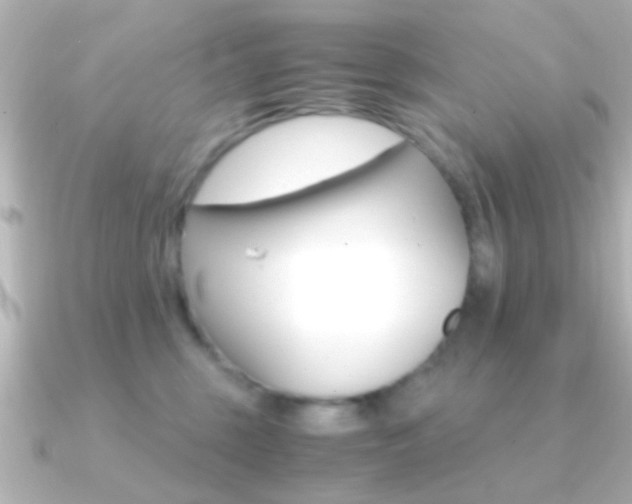 X0000091180375200708091226