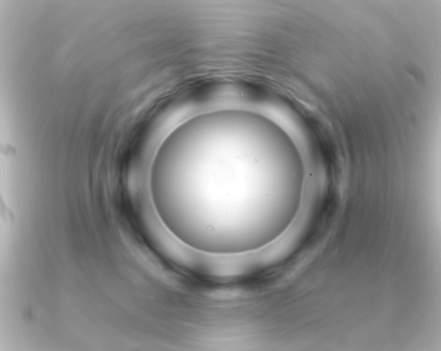 X0000091180376200708091226