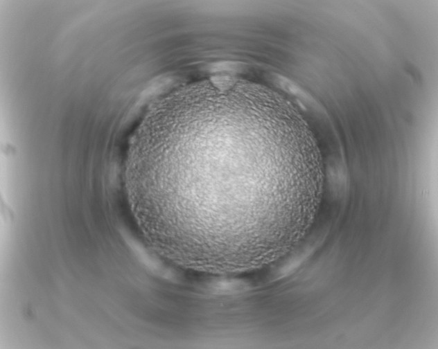 X0000091180379200708091226