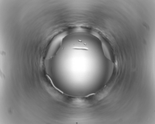 X0000091180380200708091226