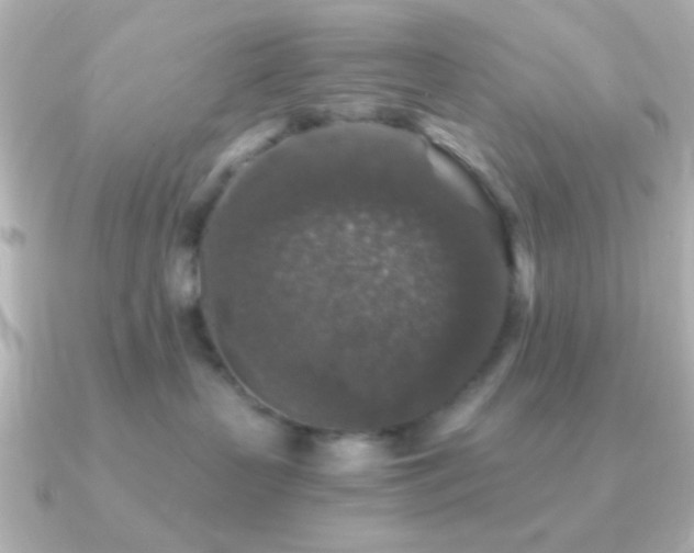 X0000091180383200708091226
