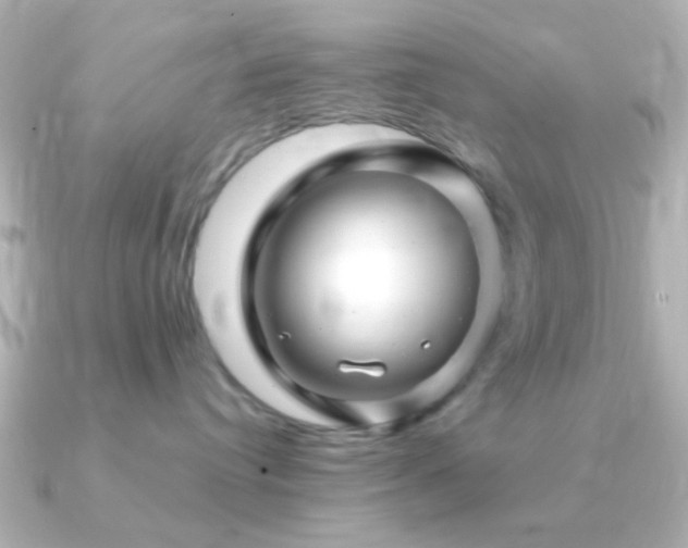 X0000091180384200708091226