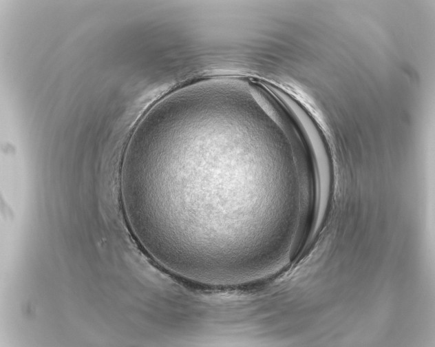 X0000091180385200708091226