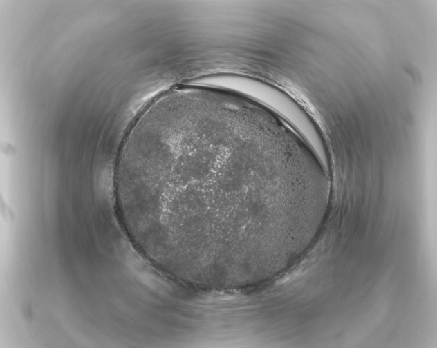 X0000091180386200708091226