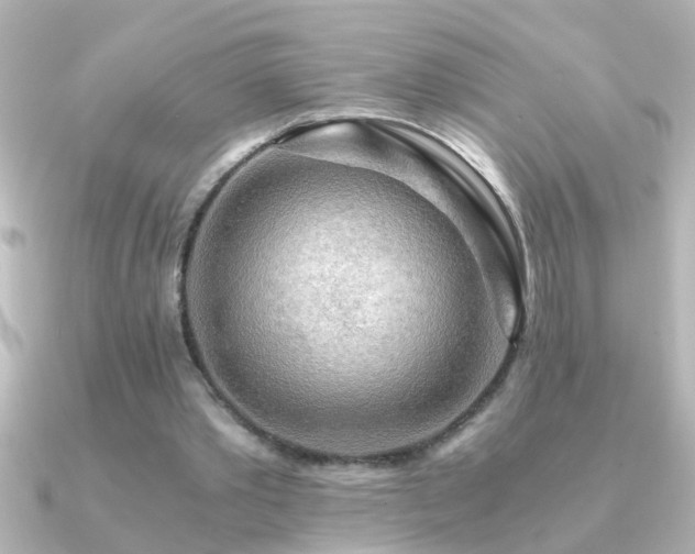 X0000091180389200708091226