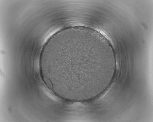 X0000091180390200708091226