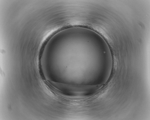 X0000091180391200708091226
