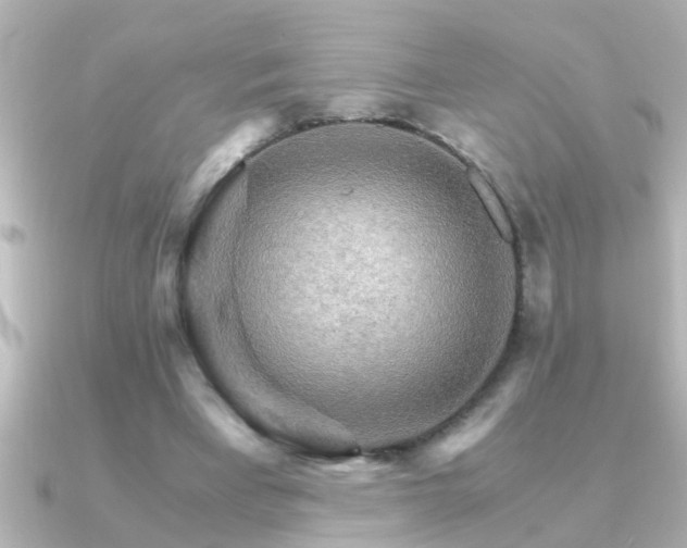 X0000091180393200708091226