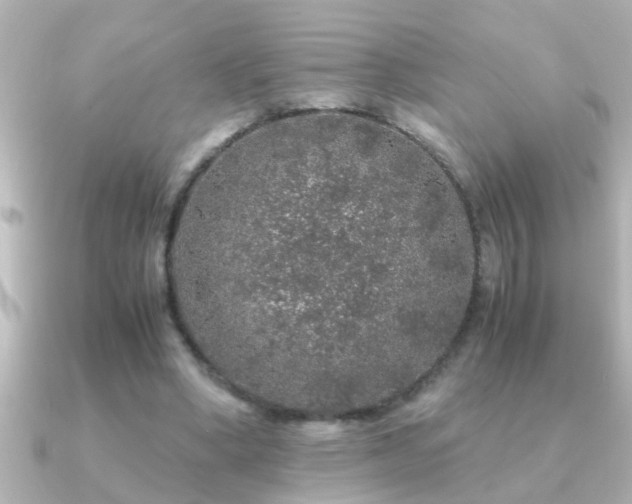 X0000091180394200708091226