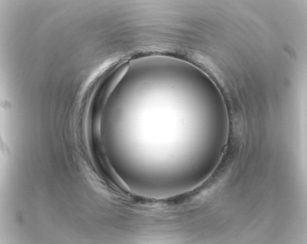 X0000091180395200708091226