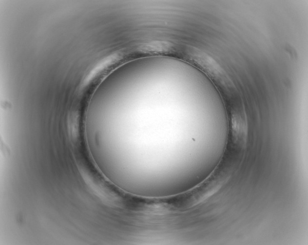 X0000091180396200708091226