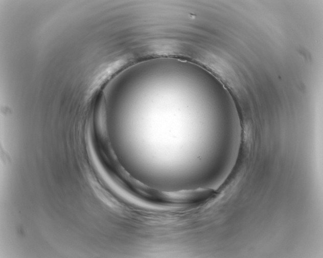 X0000091180397200708091226